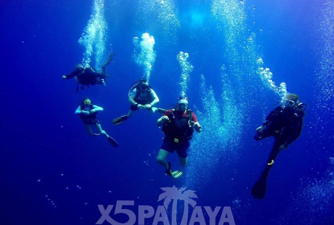 Увлекательные подводные приключения